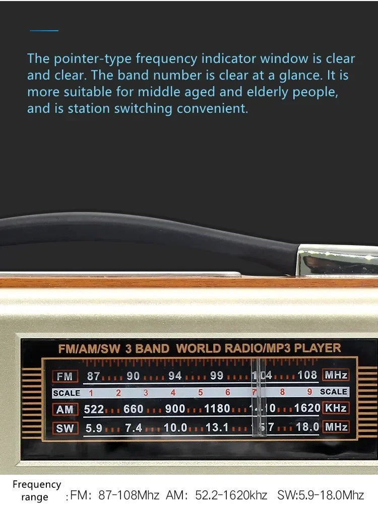 EchoWood Classic Radio Speaker