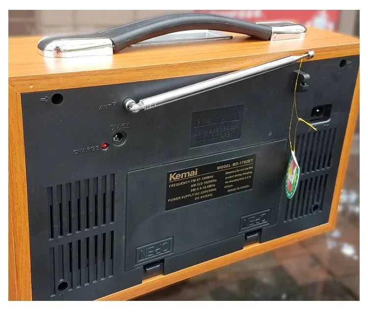 EchoWood Classic Radio Speaker