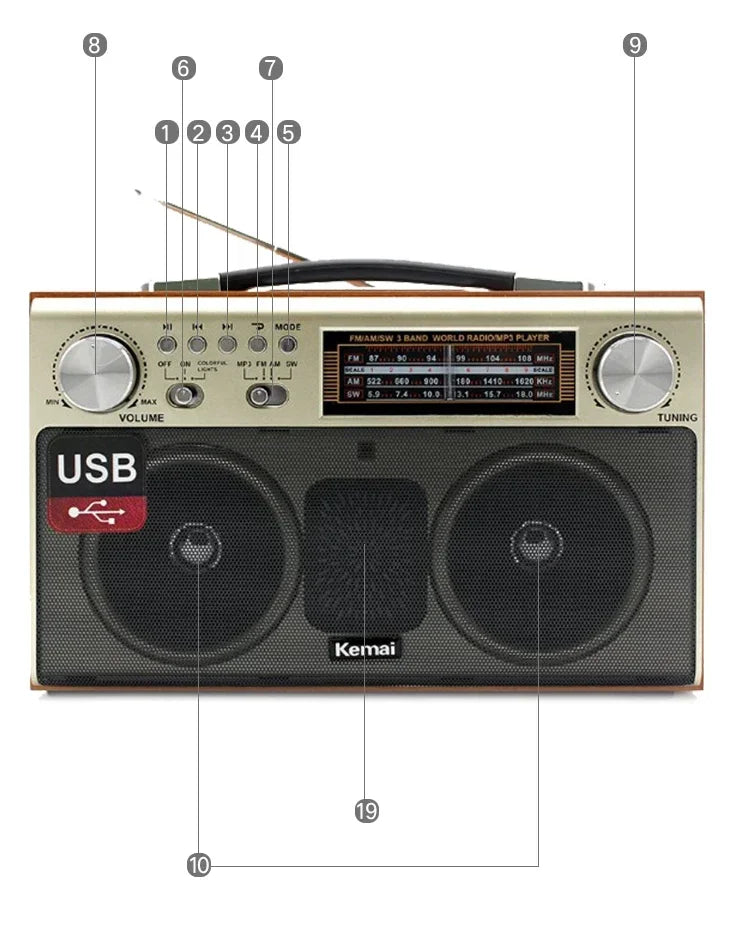 EchoWood Classic Radio Speaker