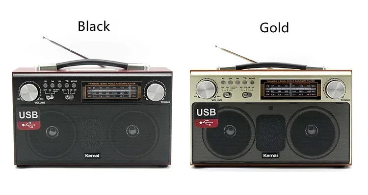 EchoWood Classic Radio Speaker
