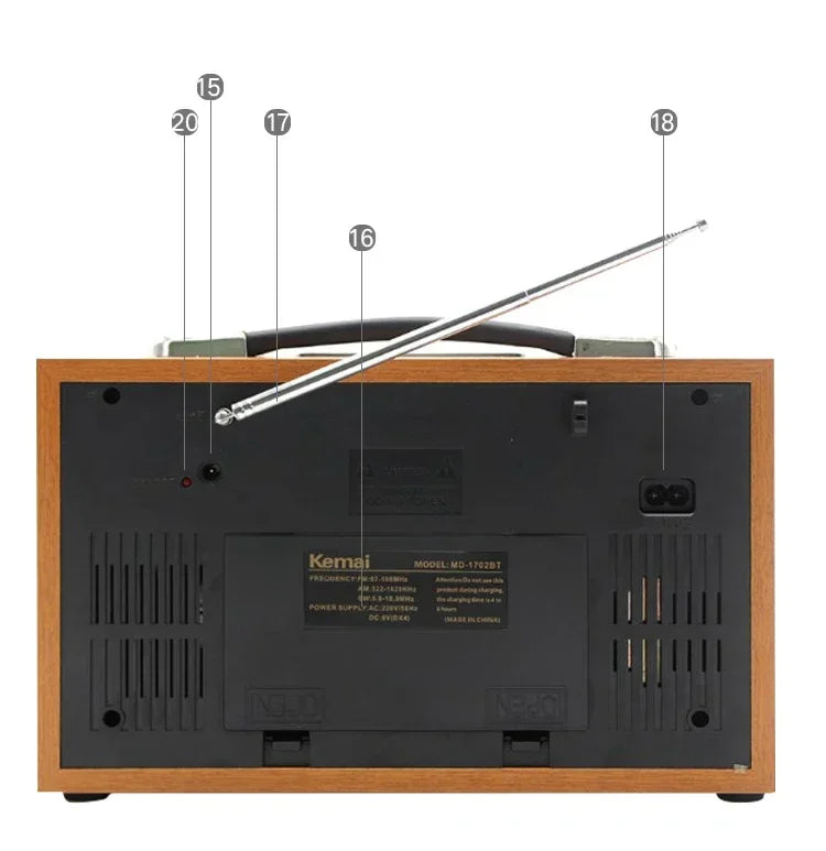 EchoWood Classic Radio Speaker