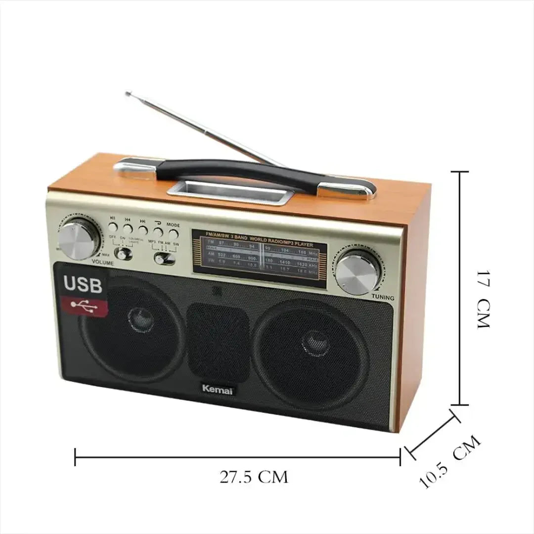 EchoWood Classic Radio Speaker