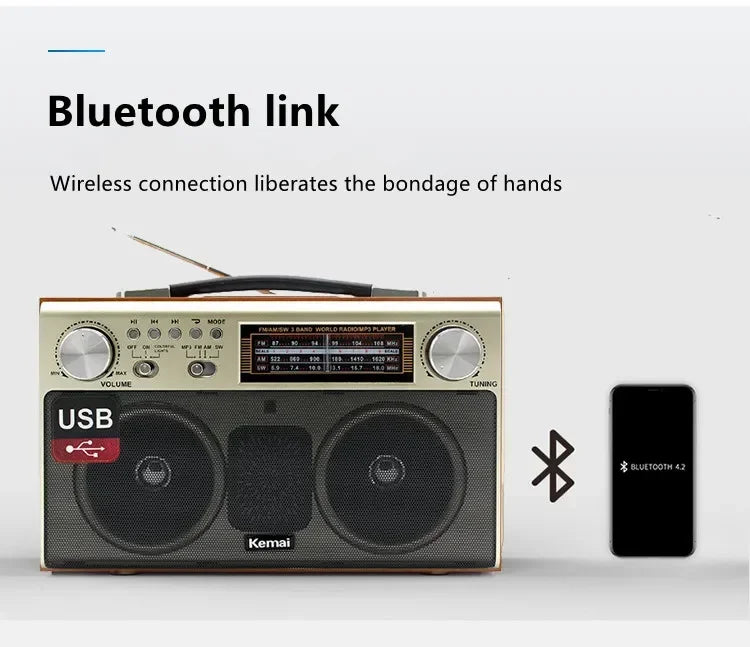 EchoWood Classic Radio Speaker