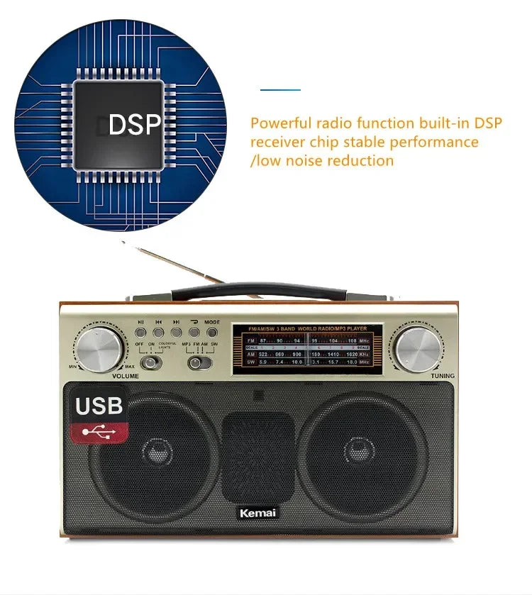 EchoWood Classic Radio Speaker