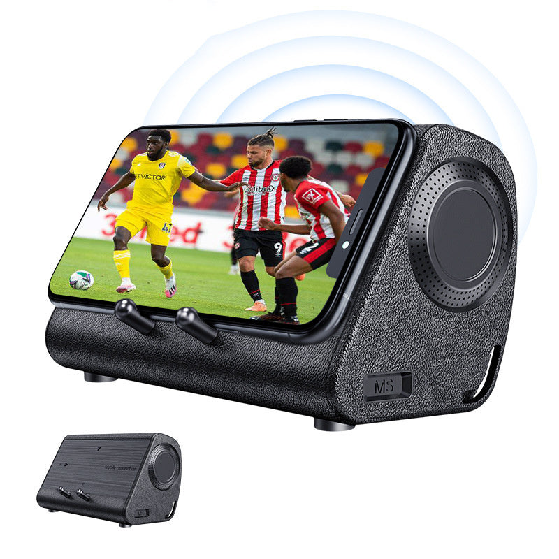 EchoBase Induction Speaker