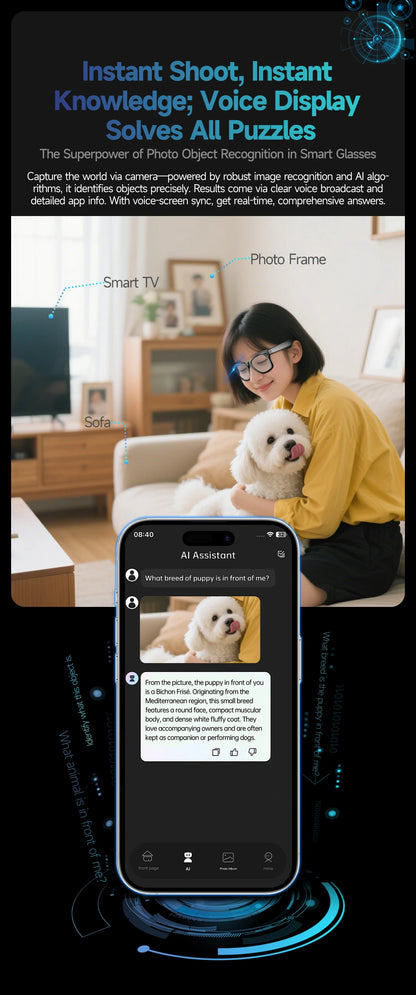 VisionPro AI Smart Glasses