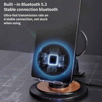 EchoStand Induction Speaker