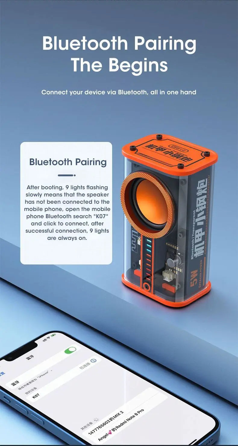 ClearWave Mini Speaker