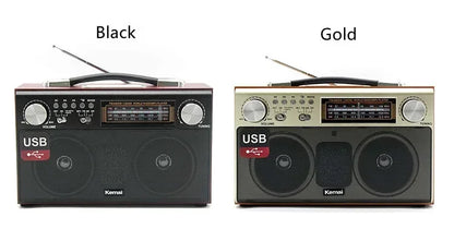 EchoWood Classic Radio Speaker