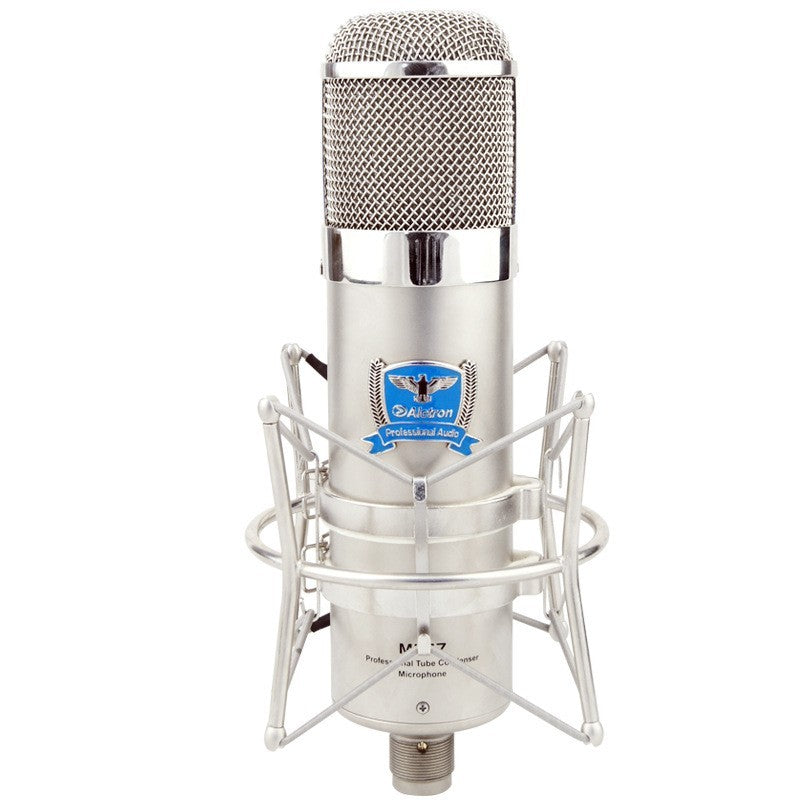 The Classic Tube Microphone