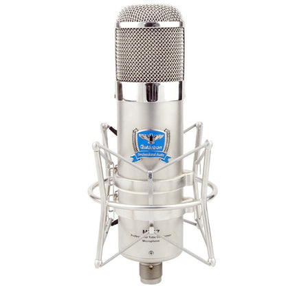 The Classic Tube Microphone