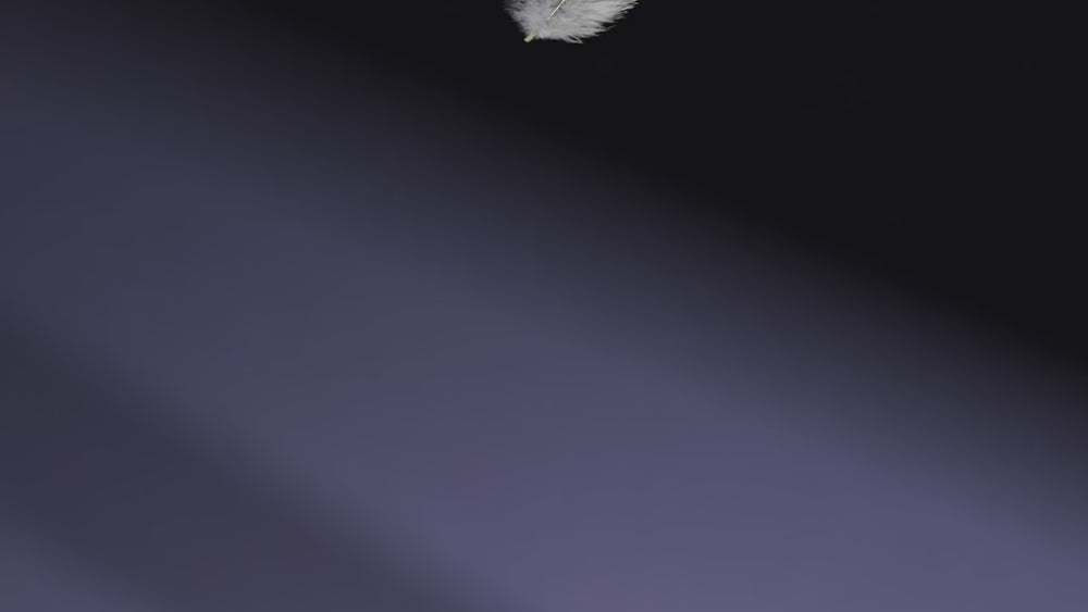 Zealot S72 Portable Speaker