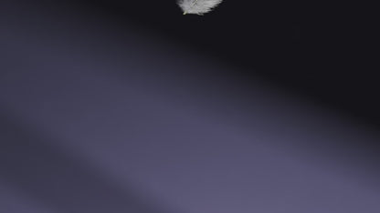 Zealot S72 Portable Speaker